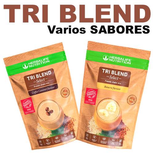 TRI BLEND batido con proteínas (600gr.)